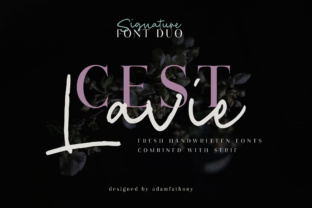 Cest Lavie Duo: Balancing Work and Play in Your Designs