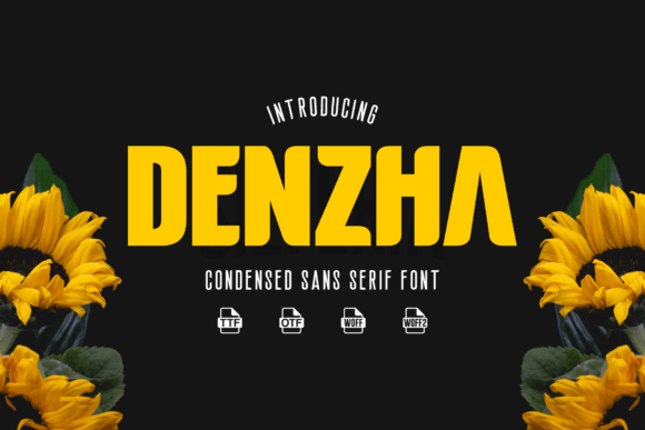 Denzha: A Contemporary Sans Serif for Modern Designers